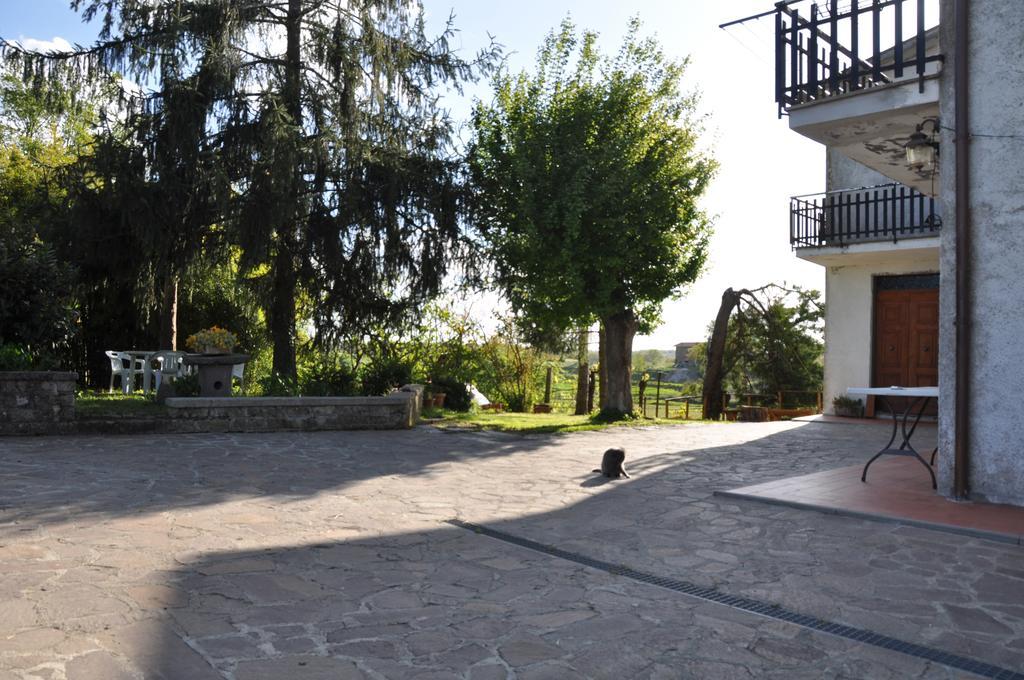 Podere Telesforo Acquapendente Bagian luar foto
